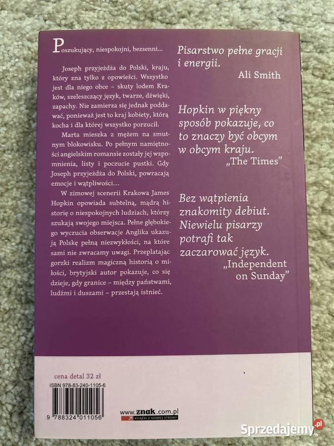 Zatopiona zima James Hopkin Lublin sprzedam