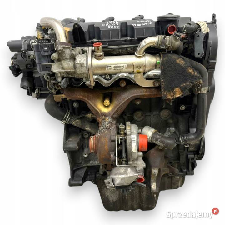 SILNIK G6DA Ford C C Focus MK2 20 TDCI 136 G6DB sprzedam