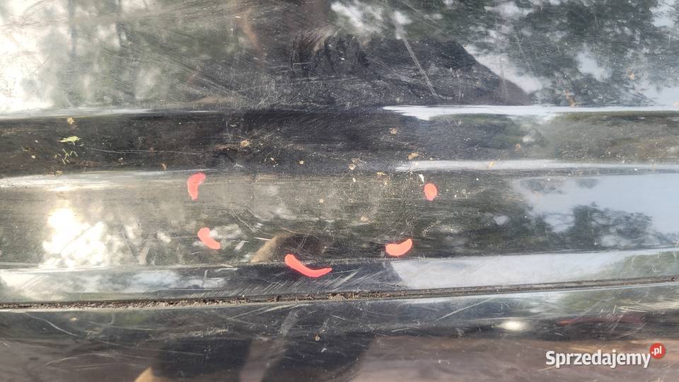 AUDI A3 8P3 0308 3 DRZWI 3D ZDERZAK TYŁ TYLNY osobowe śląskie