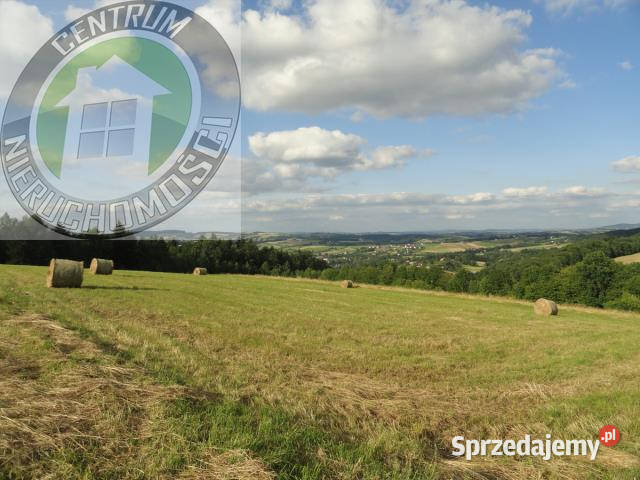 Działka Mogilno 3100m2