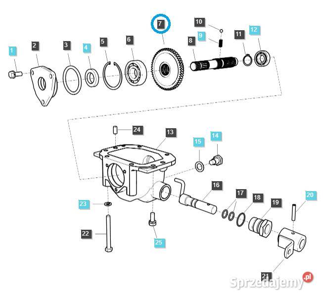 Zębatka MPTO DRVN TRG287 LS Tractor 40029908