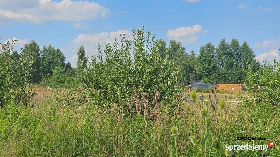 działka Wola Kopcowa
