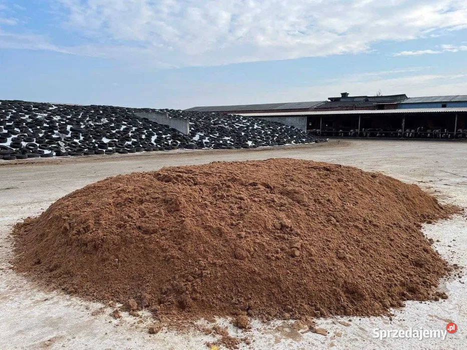 Młóto browarniane mokre Wągrowiec