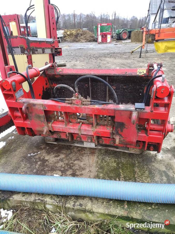 Wycinak szczękowy pirania Mchale nieuszkodzony Czyżew