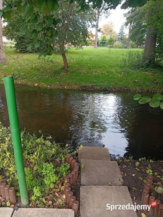 Sprzedam działkę RoD 368m2 zachodniopomorskie Łobez
