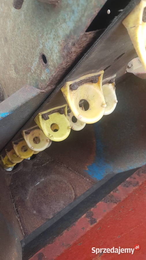 Sadzarka Gruse taśmowa