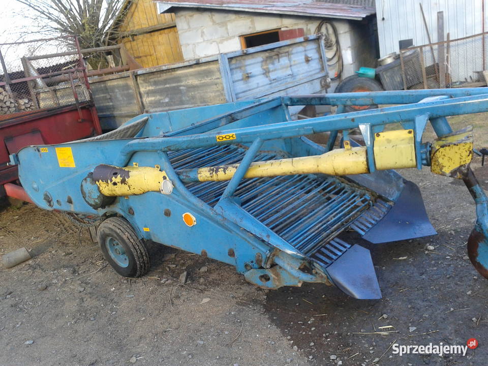 kopaczka do ziemniaków elewatorowa Nowa Słupia