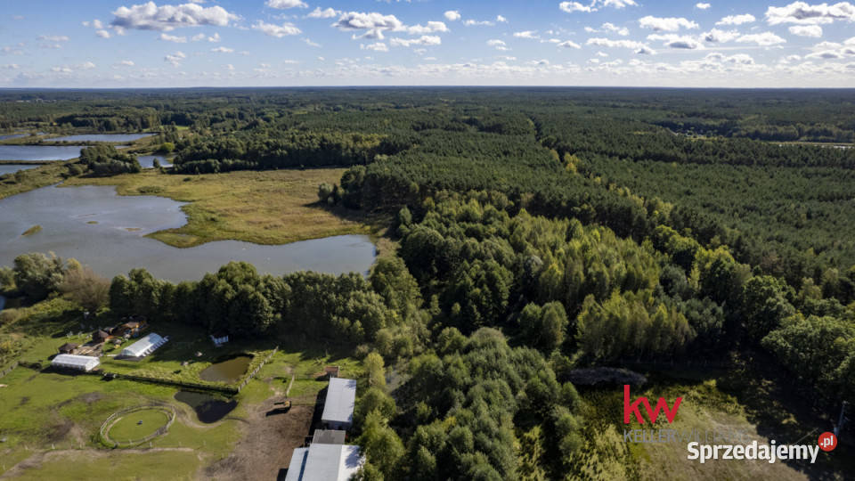 Działka TrzcielOdbudowa 6632m2 wielkopolskie