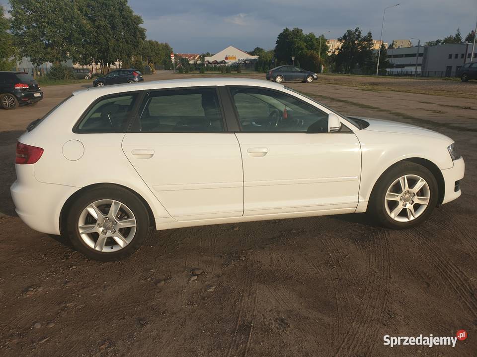 Audi A3 II 8P 14T 2009 144 SPORTBACK biały Tczew