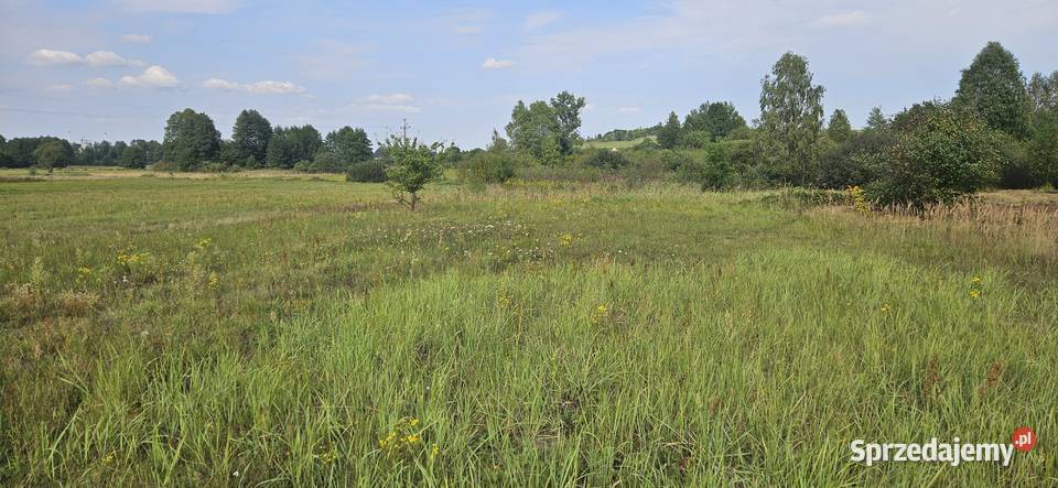 Udział 12 w nieruchomości gruntowej Kielce