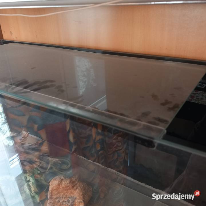 Sprzedam Akwarium Terrarium 100L Kraków sprzedam