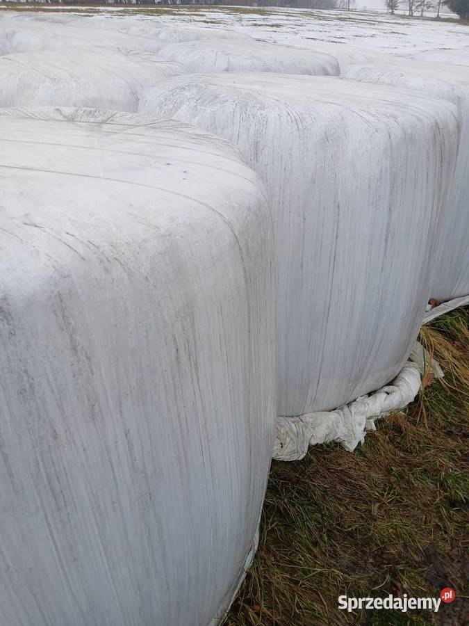 Sprzedam baloty sanokiszonki Nowy Sącz