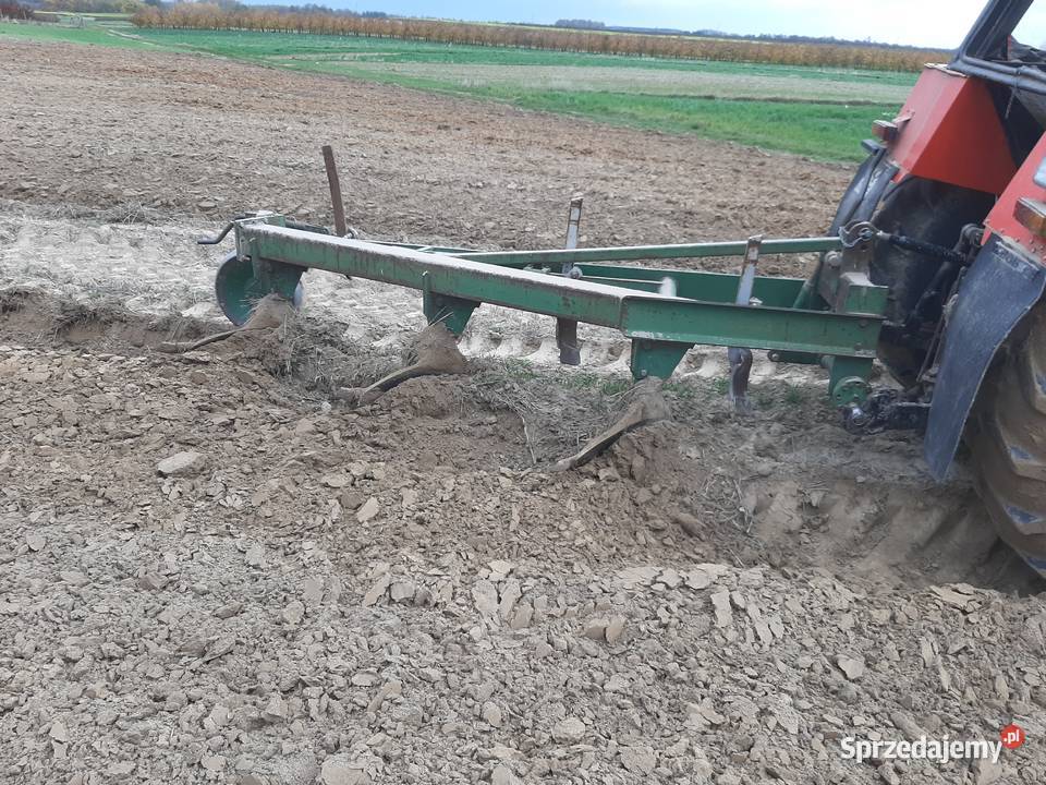 Pług 4 skibowy Rzeczniów sprzedam