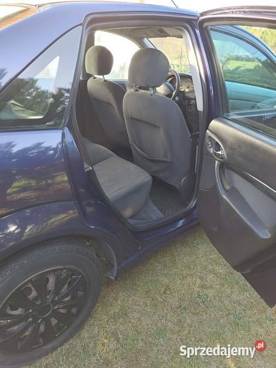 Ford focus 16 z gazem 2000 Rok produkcji 2000 Łódź