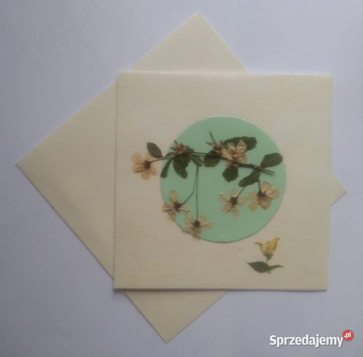 KARTKI OKOLICZNOŚCIOWE KWIATY SUSZONE Hand Made Gdańsk