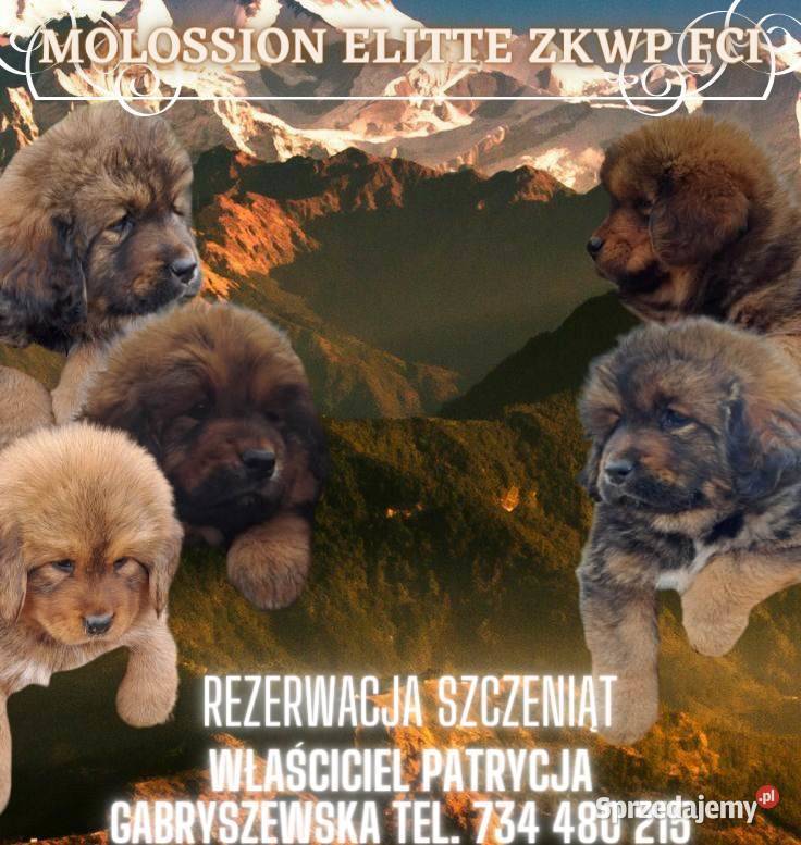 Marketing internetowy twojej firmy Huta