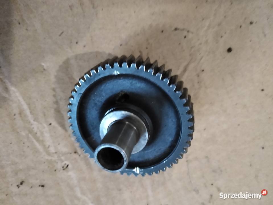 Junak m10 koło pośrednie rozrządu napęd pradnicy kujawsko-pomorskie Kruszwica