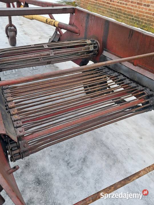 Kopaczka elewatorowa do ziemniaków Kopaczki Piaski