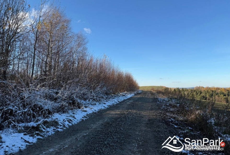 Grunt Kuźmina 28900m2 rolna