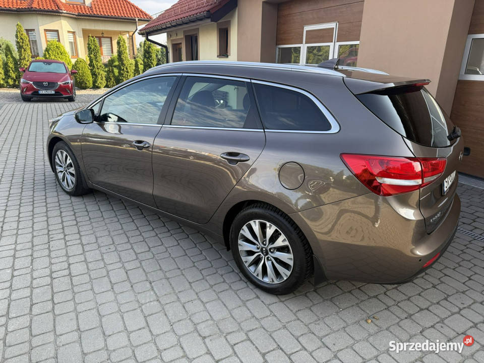 Kia Ceed 16 GDI 135 Klima Navi Kraj Serwis II VAT marża Orzech