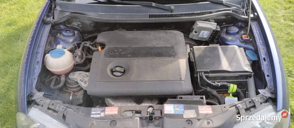 Seat Ibiza 14 16v 75 nieuszkodzony Ibiza Dziarnowo