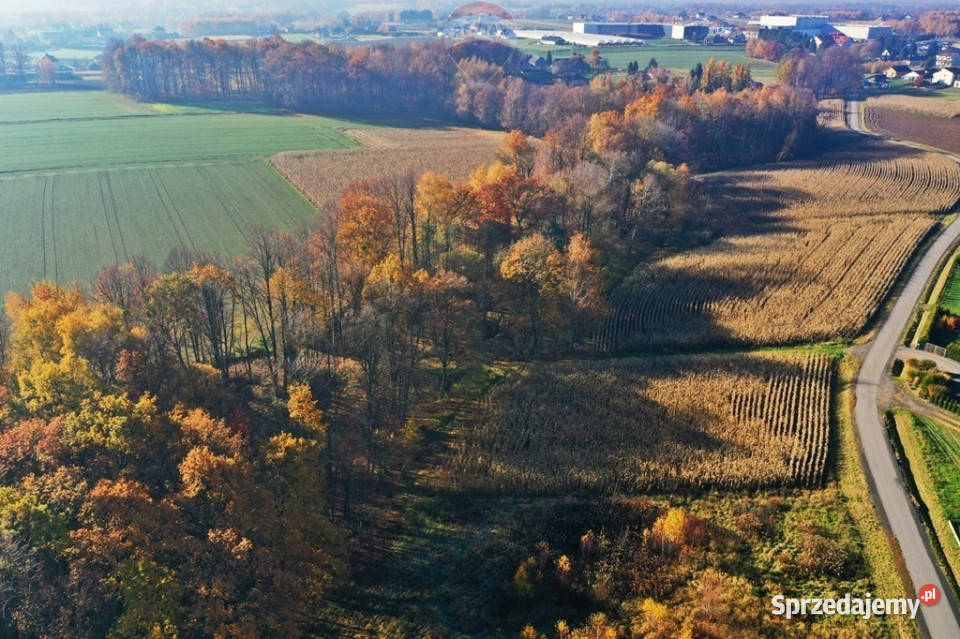 Grunt rolny do zabudowy małopolskie Osiek sprzedam