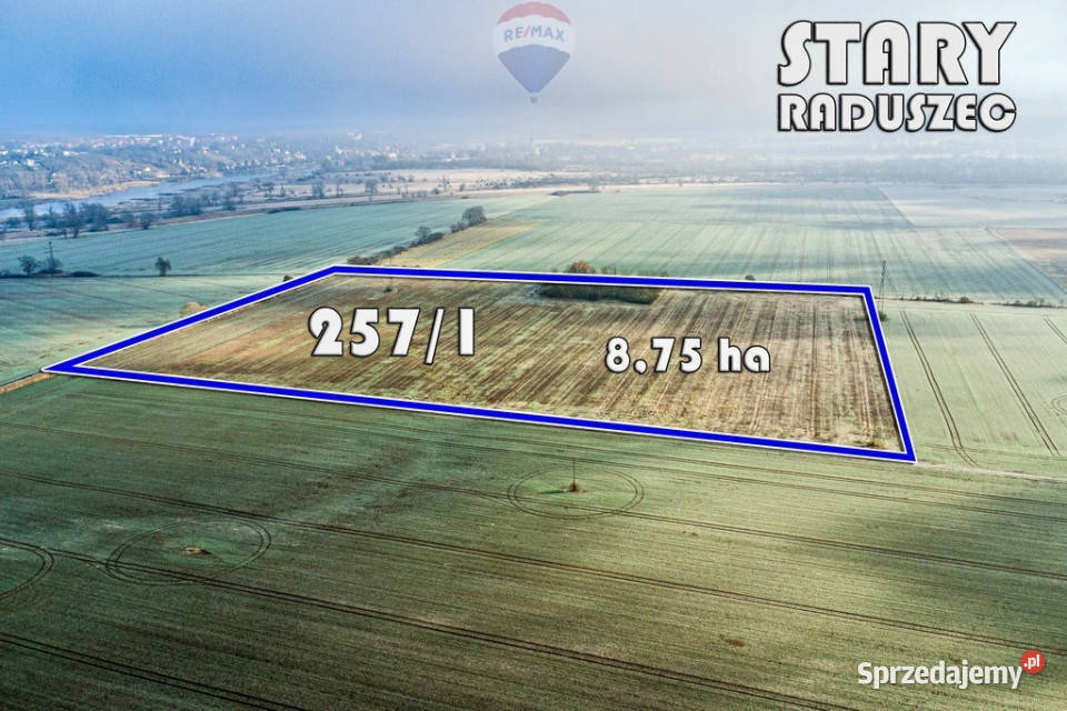 Na sprzedaż grunty orne RIIIa 875 ha lubuskie Stary Raduszec