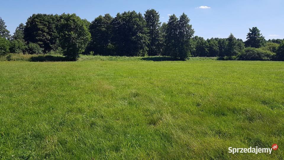 Działka z planem energia i natura czego chcesz Pozostałe Poddębice sprzedam