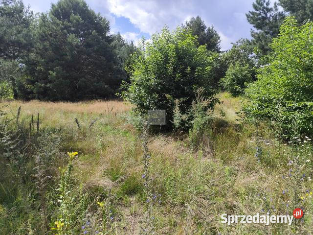 Działkę sprzedam Nowe Załubice Opolska 1015m2 mazowieckie