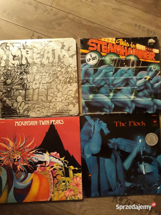 Archiwum rocka progresywnego Rzeszów