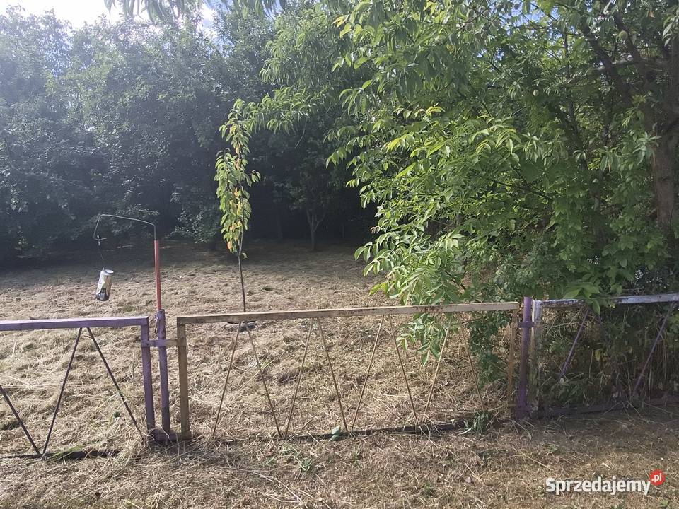 Działka ogrodowa ROD Nowa Sól 2800 lubuskie