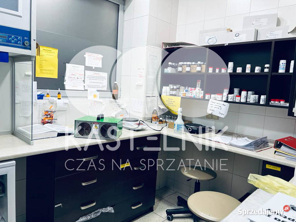 Odgrzybianie ścian Olsztyn Kastelnik Usuwanie