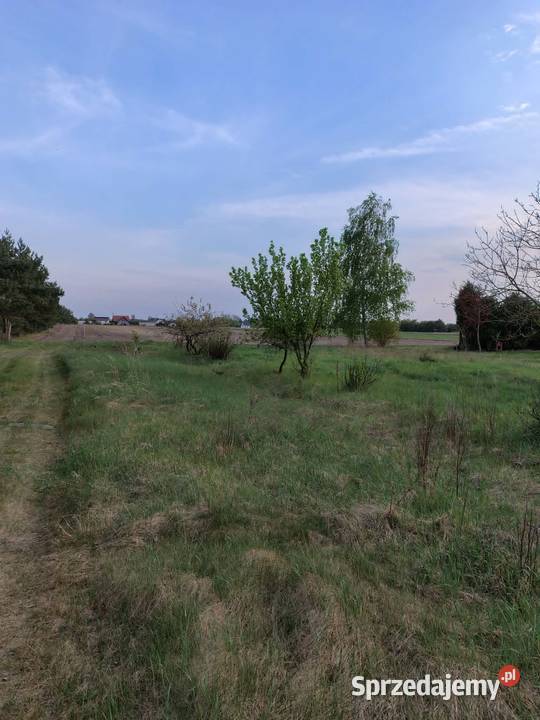 Działka budowlana Sompolno Sprzedaż