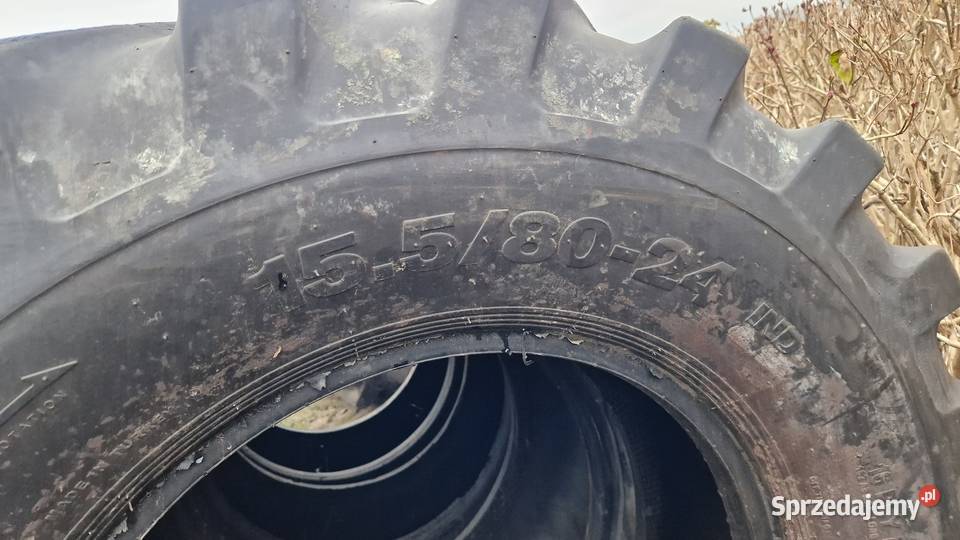 4008024 1558024 15524 Claas Renger Sanderson Nowe Miasto Lubawskie