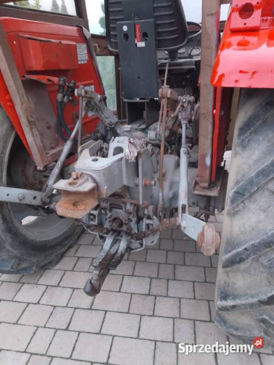 sprzedam massey fergusona 255 Szczytniki