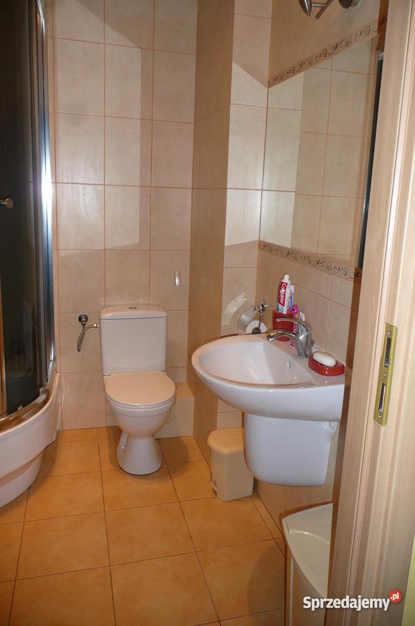 kawalerkę Świat Siedlce