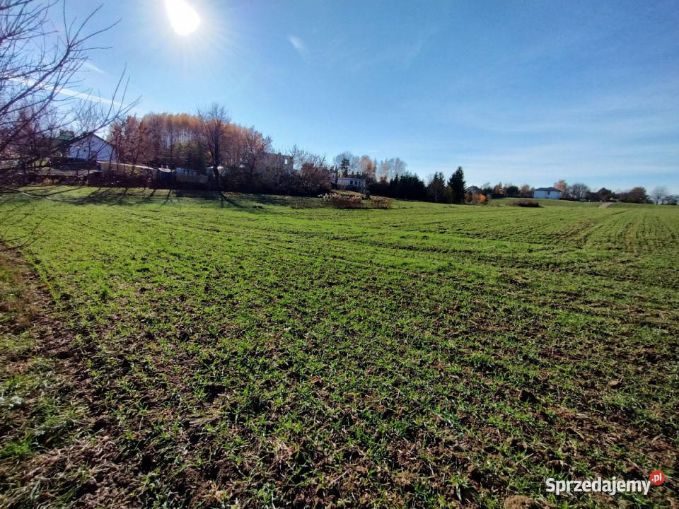 Działka 1436 metrów Snopków