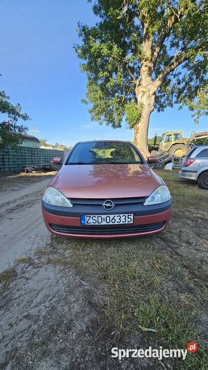 Sprzedam opel corsa ogłoszenie ważne 10 dni Rymań