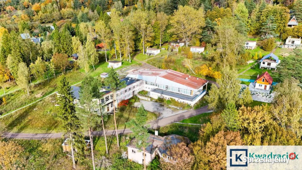 Sprzedaż lokalu 1750m2 Tylawa