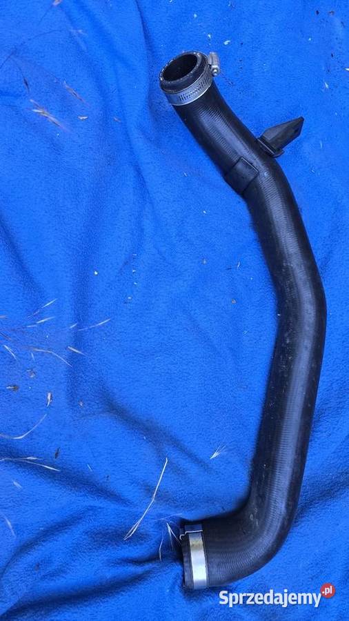 Wąż turbiny wielkopolskie Poznań