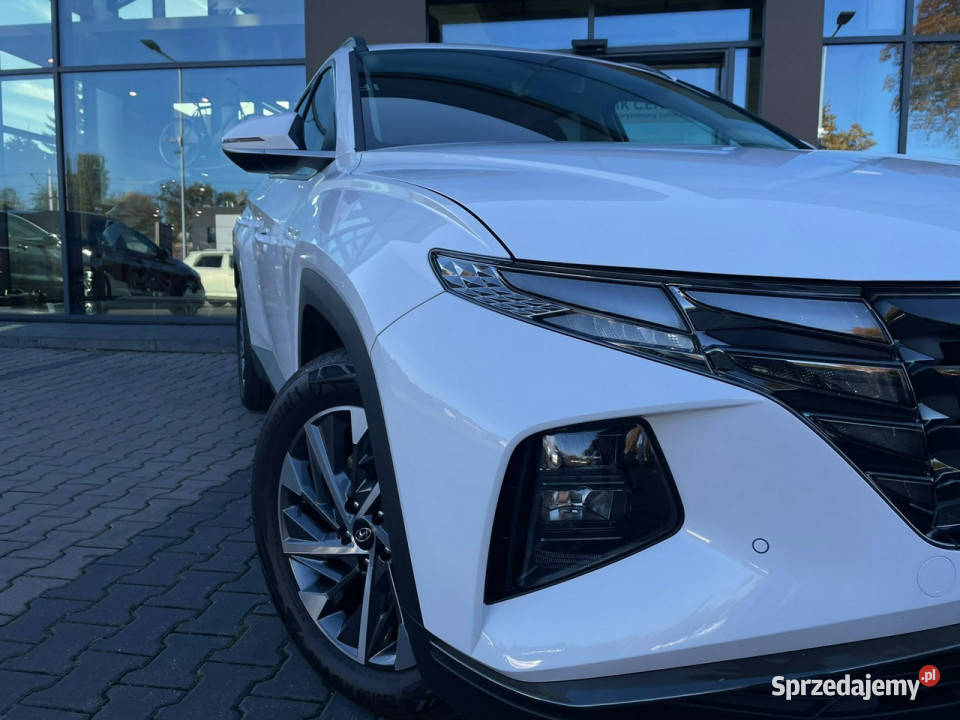 Hyundai Tucson 16TGDI 150 2WD 6MT Executiveel łódzkie Piotrków Trybunalski