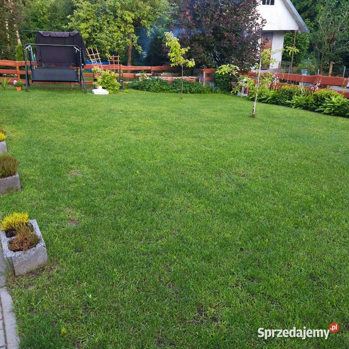 Sprzedam działkę ROD Bielany prąd Elbląg sprzedam