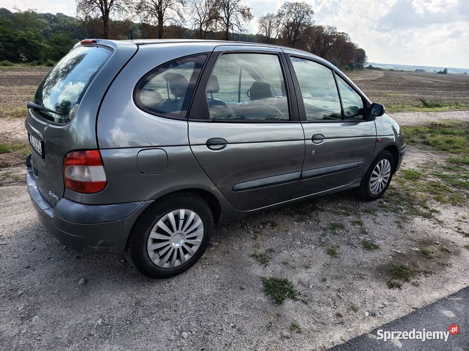 Renault scenik Lwówek
