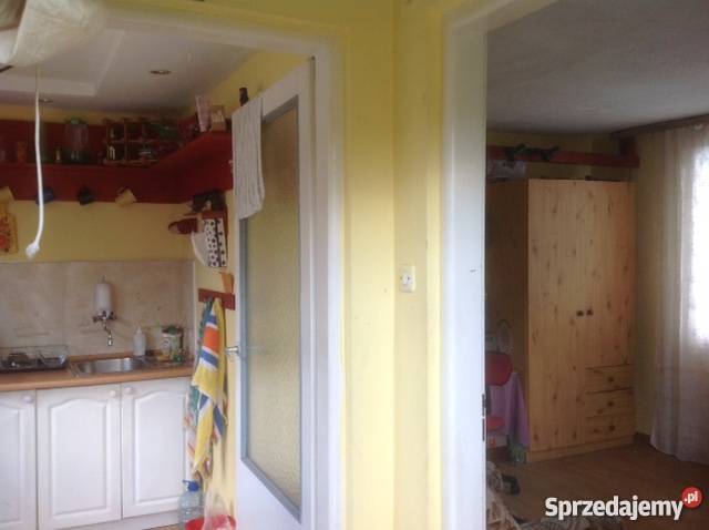 Sprzedam działkę na ROD Las Warszawa Białołęka