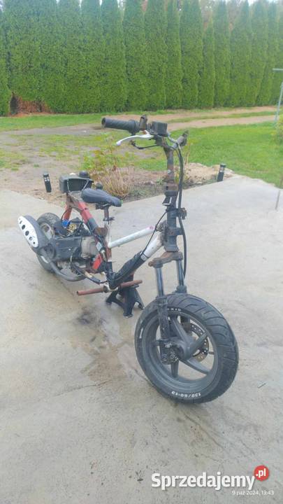 Suter sam Gostkowo sprzedam