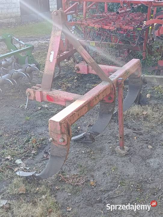 Głebosz Głębosze Radziejów sprzedam
