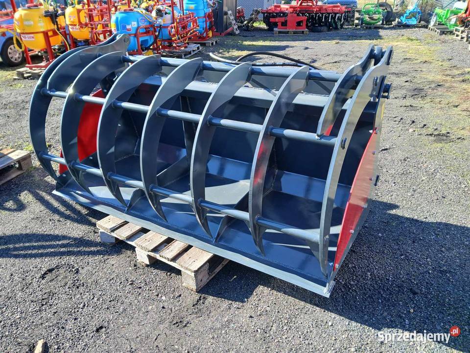 Łycho Krokodyl ząb palony Proszówka