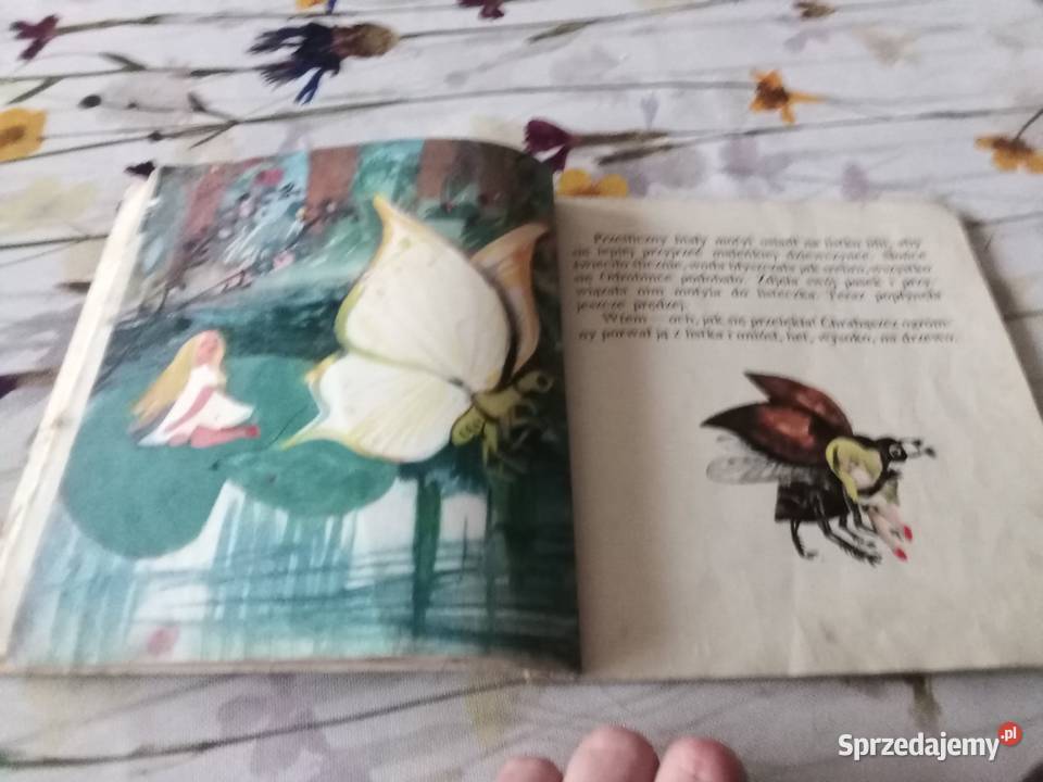 PRL książka dzieci Dziecię Elfów Pozostałe Łódź