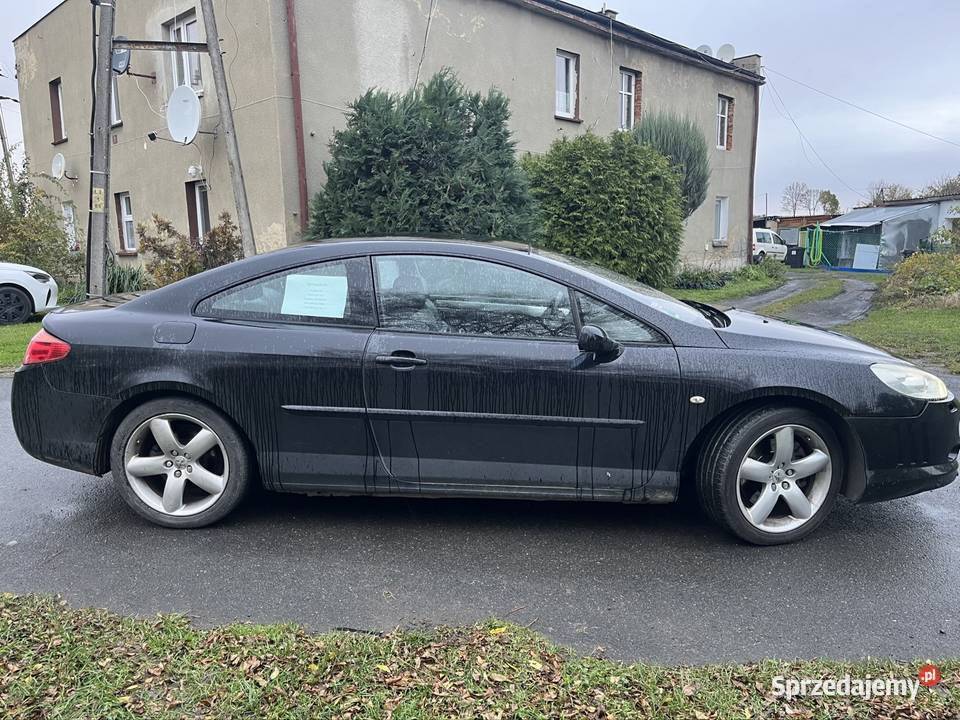 Peugeot 407 Coup elektryczne lusterka Dzierżoniów