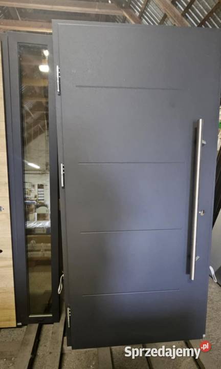 Drzwi zewnętrzne z antabą doświetleniem